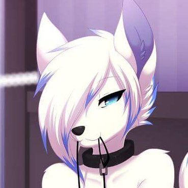 IRL femboy | RP mostly | Sub | Single and looking | Furry preference | Literate & 18+ for the same | 🇫🇷 & 🇬🇧 | None of the art posted here is mine !
