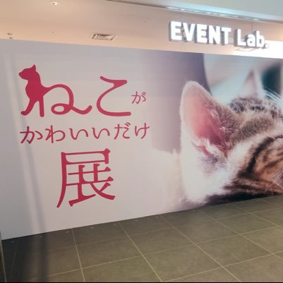 ねこがかわいいだけ展の缶バッジのお家探し専用のアカウントです🐈 飼い主様いらっしゃいましたらお声かけください😊💓 インスタでも同じアカウント名でお家探ししています✨