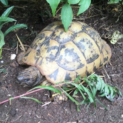 heist_music's profile picture. 