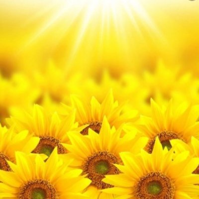 Aftabgardoon7's profile picture. 
