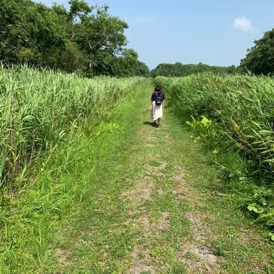 嚮心塾というちょっと変わった学習塾をやっています。読んだ本や観た映画や演劇の感想もつぶやきます。 どくんご東京実行委員会。マタヒバチ東京制作部。 野らぼう東京制作部。 ブログhttps://t.co/21HXVng6MV 塾のホームページ https://t.co/CamaHEr525