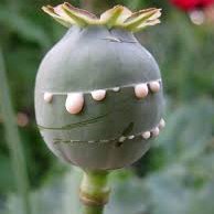 RBangkok45's profile picture. musician