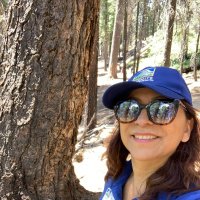 Yosemite Adventure(@yosemiteplanet) 's Twitter Profile Photo