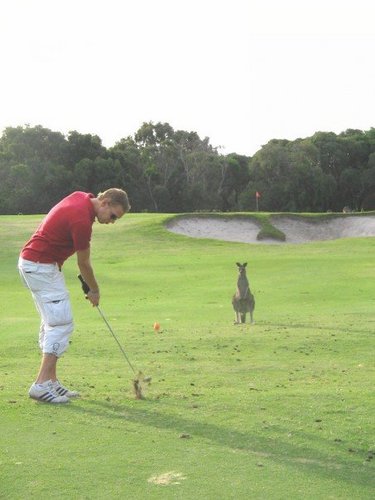 alan_higham's profile picture. 