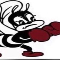 Bayonne HS Fighting Bees Athletics(@Bay1AthDept) 's Twitter Profileg