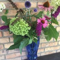 Bea Elisa (@beaelisa4) 's Twitter Profile