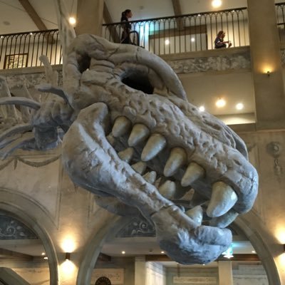 DJLeona56941871's profile picture. 