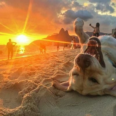 PLTimeSahbi's profile picture. Juste Pas Le Time de Niaiser Sahbi