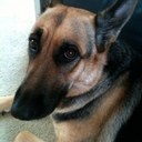 Sonia Carpenter - @soniajean1 - Twitter