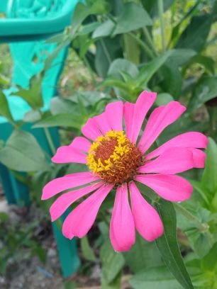 bebas55108728's profile picture. membaca