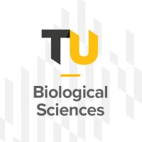 Towson U Biology Department(@TowsonUBiology) 's Twitter Profile Photo