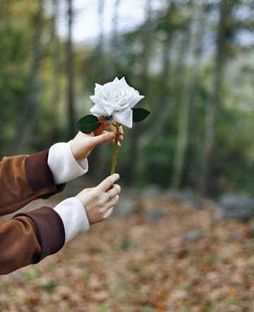 AinizEuzof's profile picture. 💕love 🌷 books 📚