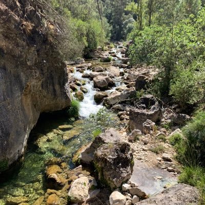 JuanJoseNavarr3's profile picture. 