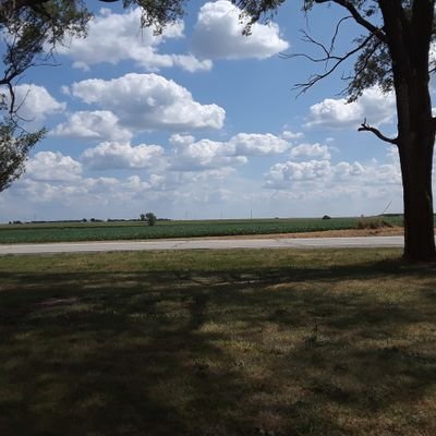 Profile Picture of Michael Hoit_officail (@HoitOfficail) on Twitter