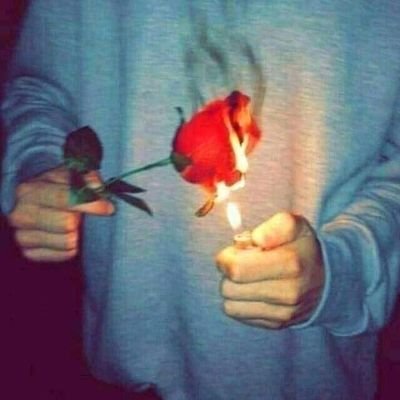 MandoMa21215198's profile picture. 