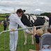 BoltonManor Farm (@TStable) Twitter profile photo