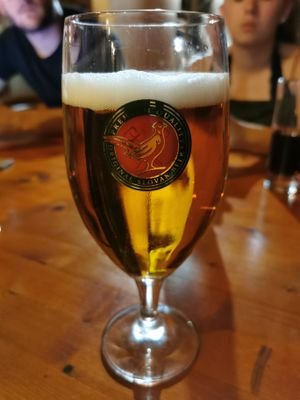 DaveMorey4's profile picture. Mord of Bedford