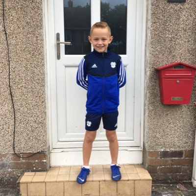 Angharaddavies8's profile picture. 