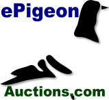 ePigeonAuctions's profile picture. The best Totally Free All breed Pigeon Auction Site.