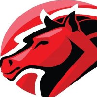 Innovative Learning Academy @Elizabeth Smith (@esestallions) Twitter profile photo