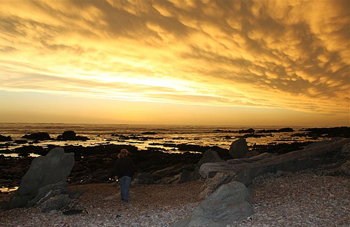 South Africa - Eastern Cape