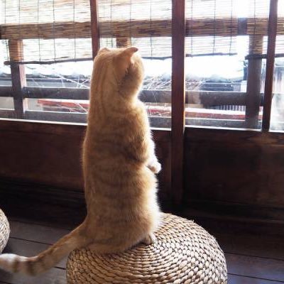 kotarobayashi's profile picture. webアプリかスマホアプリを作ってます。

気づいたら、色々やってた。
スキル: PHP/JS/Java/Kotlin/Python
Laravel/Flask/Nest/Vue/Flutter/React/WP
AWS
学習中: Go/Terraform/k8s

時々料理にハマる。