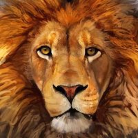 جانگیر (@ai9fl9vty0s0x03) 's Twitter Profile