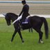 ほらこー (@horakorfevre) Twitter profile photo ほらこー (@horakorfevre) Twitter profile photo