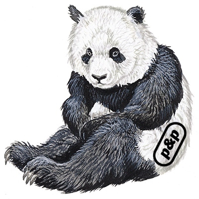 Panda are students taking direct action on world poverty, human rights, and environment, brought together by our involvement with the People & Planet network.