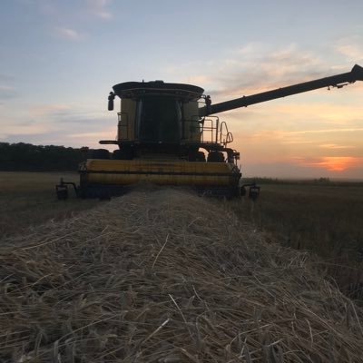 4th generation grain and cattle farmer in SW Manitoba - #gojetsgo