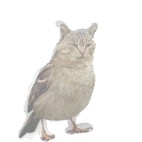 Blueeyecite (@blueeyecite) 's Twitter Profile