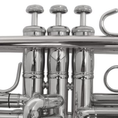 Principal Trumpet-Manassas Ballet, Virginia Grand Military Band McLean-Tysons Orchestra; Trumpet Instructor-Episcopal High School, Potomac School