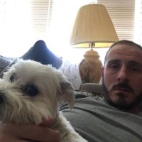 Daniel DeStefano (@danieldestefan9) 's Twitter Profile