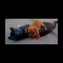 Monica Rivero - @mrvro - Twitter