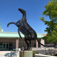 Damonte Ranch High School (@_damonteranchhs) 's Twitter Profile