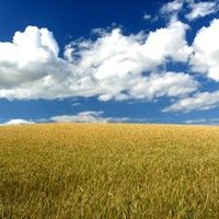 John Taylor (@jtqld) 's Twitter Profile