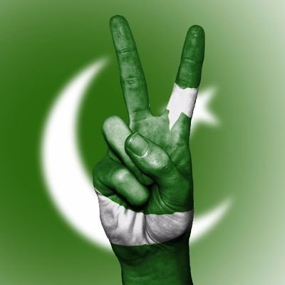 PkPatriot1947's profile picture. A soldier of Pakistan. Pakistan First