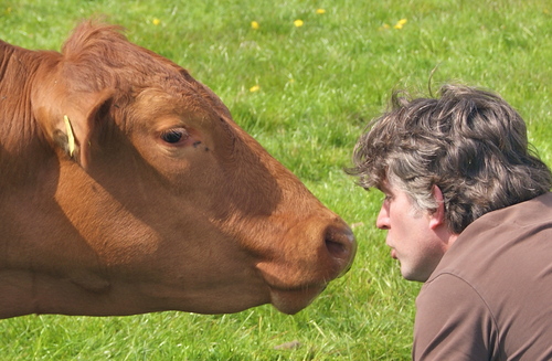 Suffolk's Best Kept Secret. Winner of Greener Suffolk Greenest Micro Business 2014. Producing beautiful pasture beef. Struggling against nature and bureaucracy.