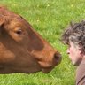 Peakhillfarm's profile picture. Suffolk's Best Kept Secret. Winner of Greener Suffolk Greenest Micro Business 2014. Producing beautiful pasture beef. Struggling against nature and bureaucracy.