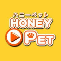 ハニーペット(@honeypet_dogcat) 's Twitter Profile Photo
