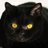 katjara_meow's profile image