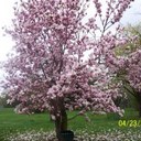 Kerri Wright - @kawright10 - Twitter