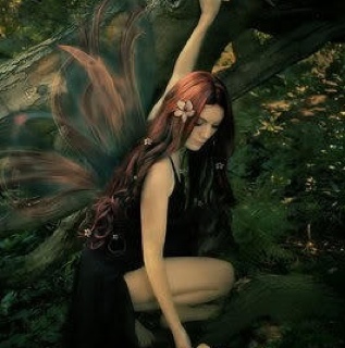 WishOnShadows's profile picture. Dryad daughter of Nyx. An oddity among nymphs, owing to her violet, petal-like wings.