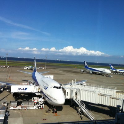 飛行機や飛行機からの景色が好き。最近は街に咲く草花にも気が惹かれるようになりました。 Airplane, view from airplane, city view