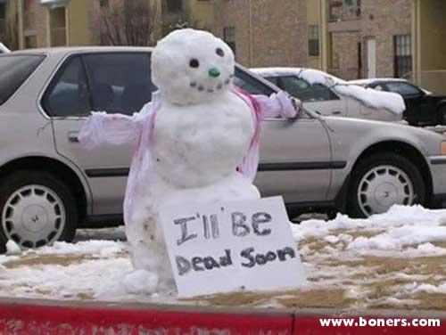 Jozz__B's profile picture. knows two facts about ducks...they both wrong...