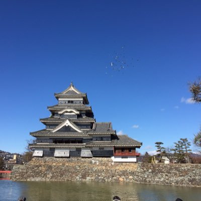 ほっけ50になりました
