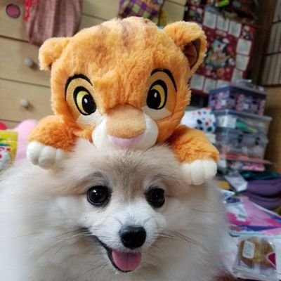 ゆーちゃん チケット求めています 5 31 ルミネtheよしもと アインシュタイン河井トークライブ 声 枯れるまで 1枚お譲り下さい 人気公演で難しいと思いますが よろしくお願い致します アインシュタイン アインシュタイン河井 アインシュタイン