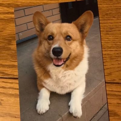 NaoKody's profile picture. Moving on...