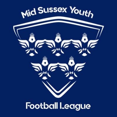 Official twitter account of the MSYFL, providing grassroots football for over 330 under 7 to under 21 teams. #MSYFL ⚽️