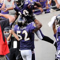 Ed Reed (@ereed20) 's Twitter Profile